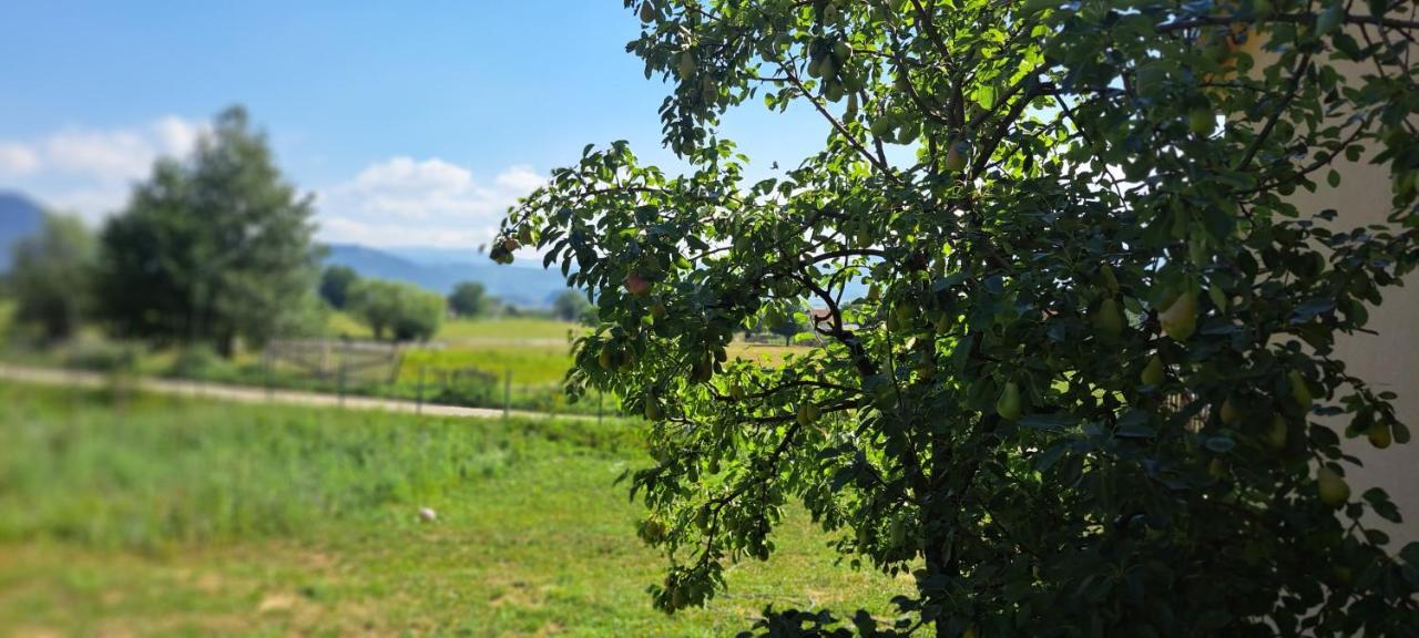 Ferienwohnung Topla Porodicna Kuca Berane Exterior foto